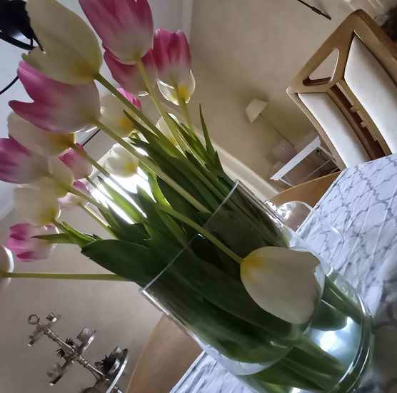 Bild von Lizzie160403 Bild von Lizzie160403