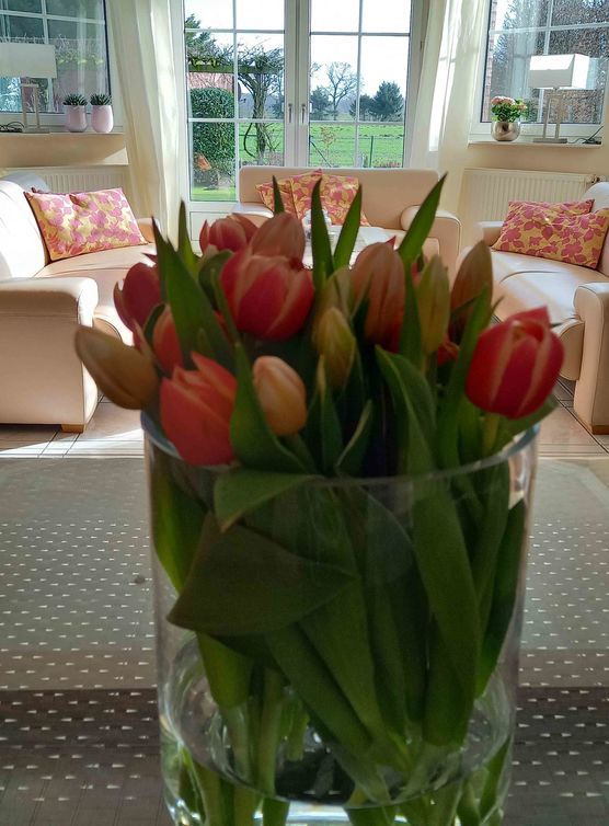 Bild von Lizzie160403 Bild von Lizzie160403