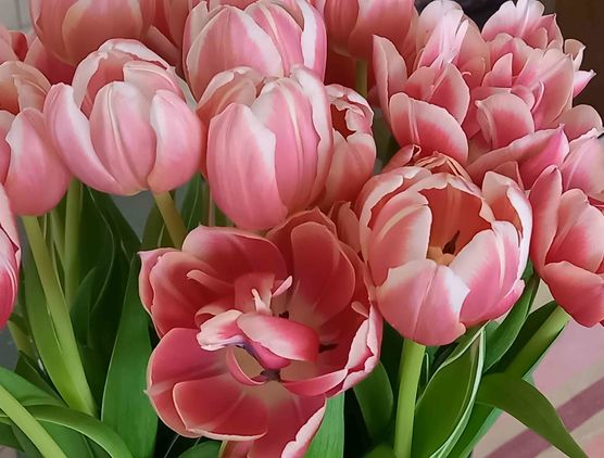 Bild von Lizzie160403 Bild von Lizzie160403