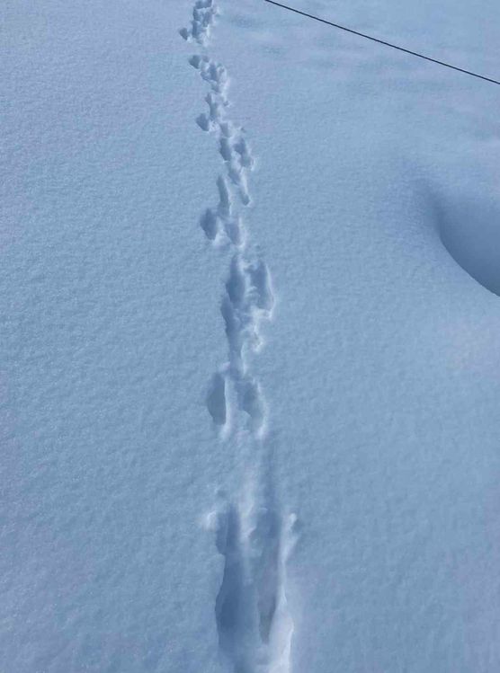 Bild von Lizzie160403 Bild von Lizzie160403