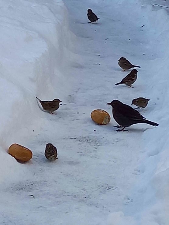 Bild von Lizzie160403 Bild von Lizzie160403