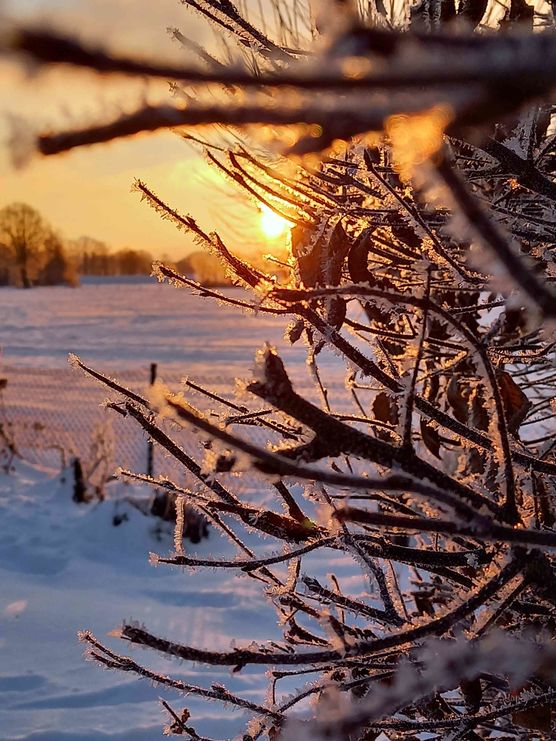 Bild von Lizzie160403 Bild von Lizzie160403