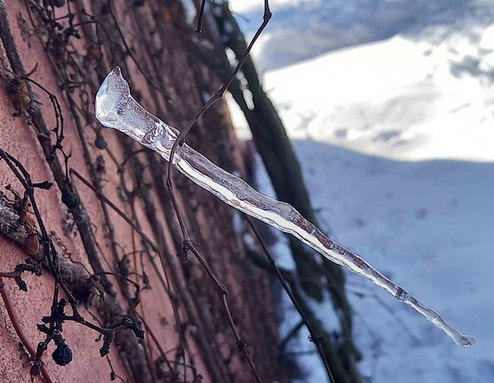 Bild von Lizzie160403 Bild von Lizzie160403