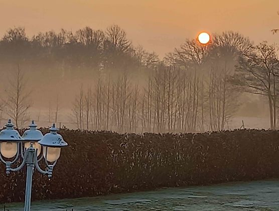 Bild von Lizzie160403 Bild von Lizzie160403