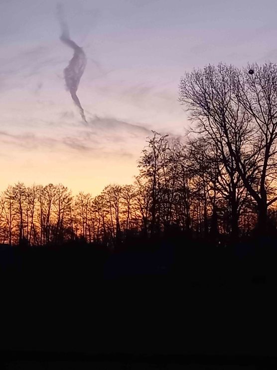 Bild von Lizzie160403 Bild von Lizzie160403