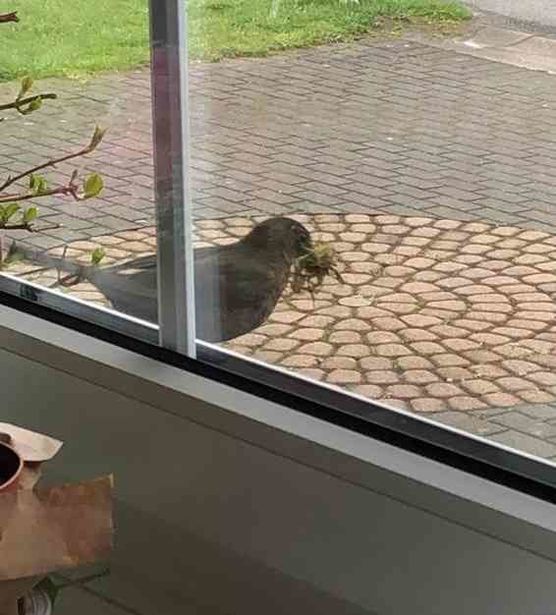 Bild von Lizzie160403 Bild von Lizzie160403