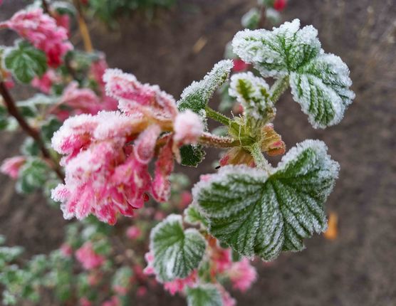 Bild von Lizzie160403 Bild von Lizzie160403