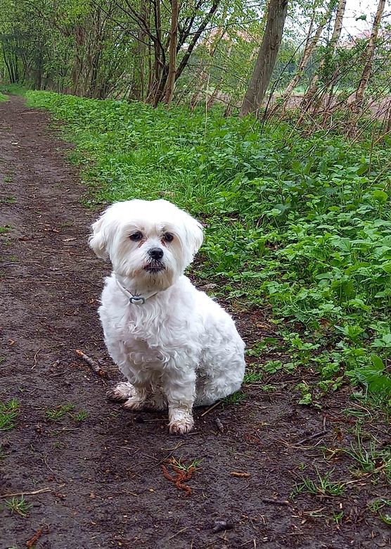 Bild von Lizzie160403 Bild von Lizzie160403