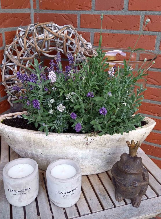 Bild von Lizzie160403 Bild von Lizzie160403