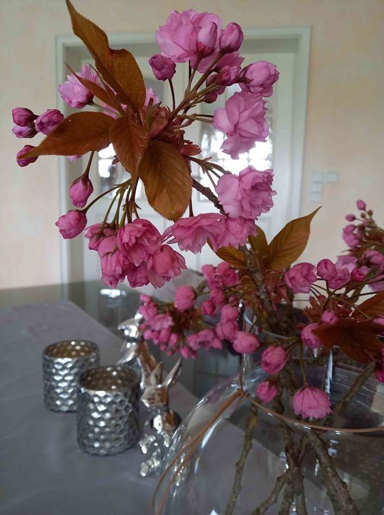 Bild von Lizzie160403 Bild von Lizzie160403