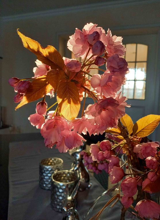 Bild von Lizzie160403 Bild von Lizzie160403