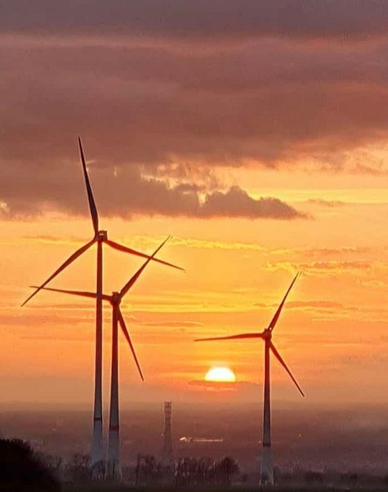 So schön kann ein So schön kann ein