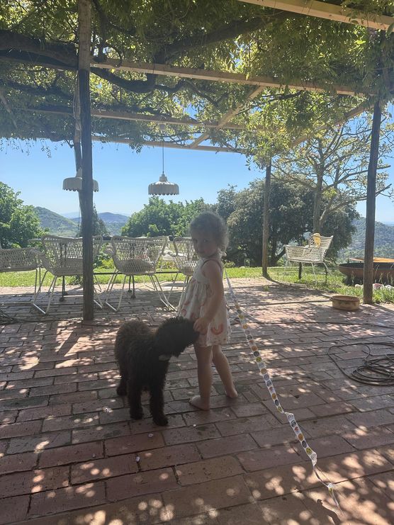 Bild von gesine.gorlich Bild von gesine.gorlich