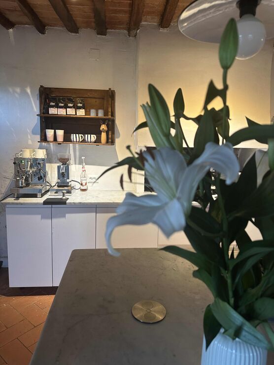 Bild von gesine.gorlich Bild von gesine.gorlich