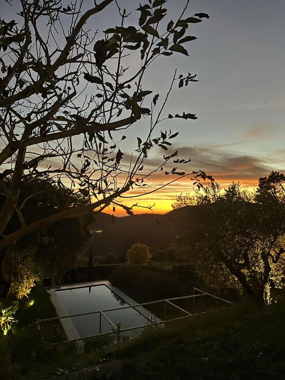 Bild von gesine.gorlich Bild von gesine.gorlich