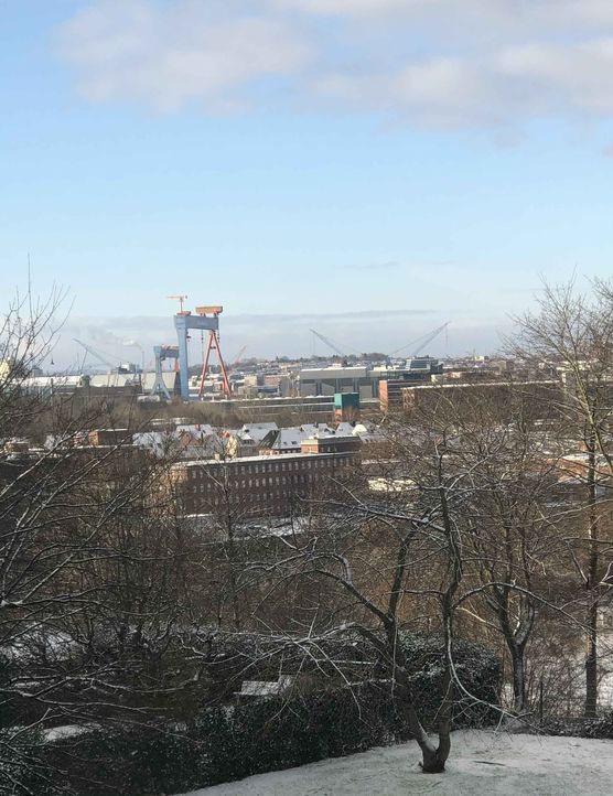 Bild von Lilly Rosegarden Bild von Lilly Rosegarden