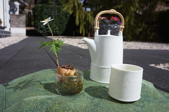 Bild von Lilly Rosegarden Bild von Lilly Rosegarden