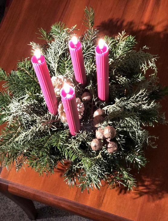 Bild von Lilly Rosegarden Bild von Lilly Rosegarden