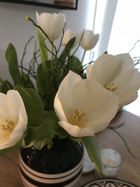 Draußen eisiger Wind, drinnen Draußen eisiger Wind, drinnen