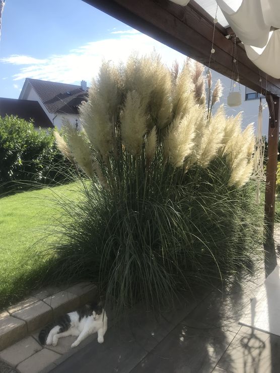 Vor 2 Jahren dachte Vor 2 Jahren dachte