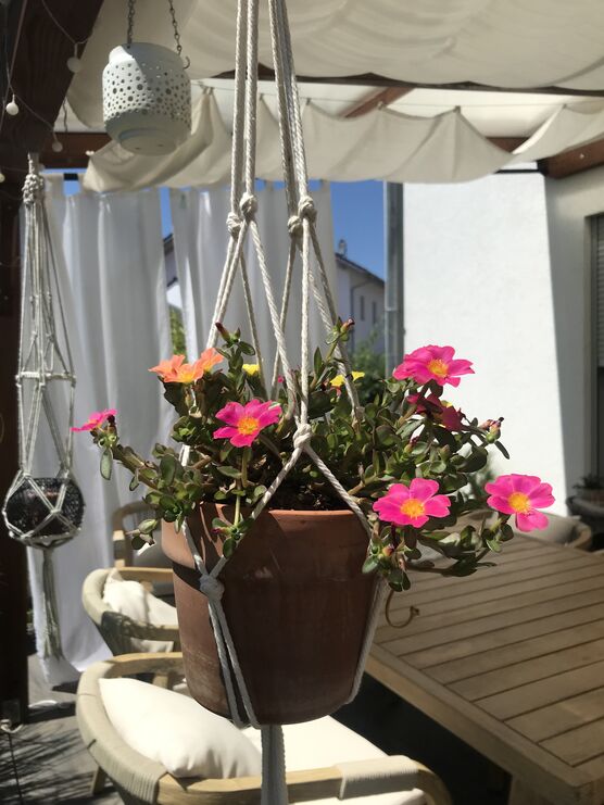 Von letzter Woche, als Von letzter Woche, als