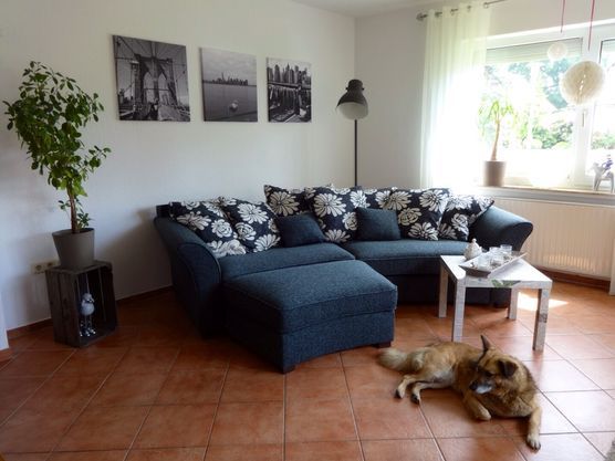 Yippieh!!! Wir haben uns getrennt... Yippieh!!! Wir haben uns getrennt...