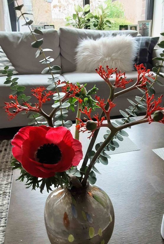 Bild von Findeklee01 Bild von Findeklee01