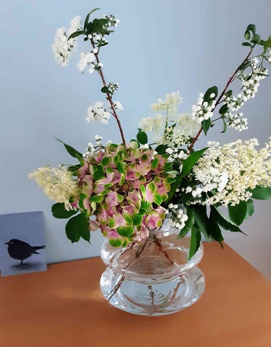 Bild von Findeklee01 Bild von Findeklee01