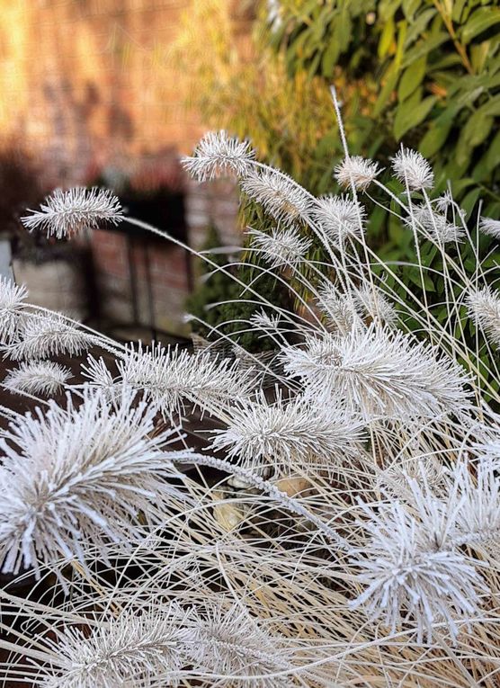 Bild von Findeklee01 Bild von Findeklee01