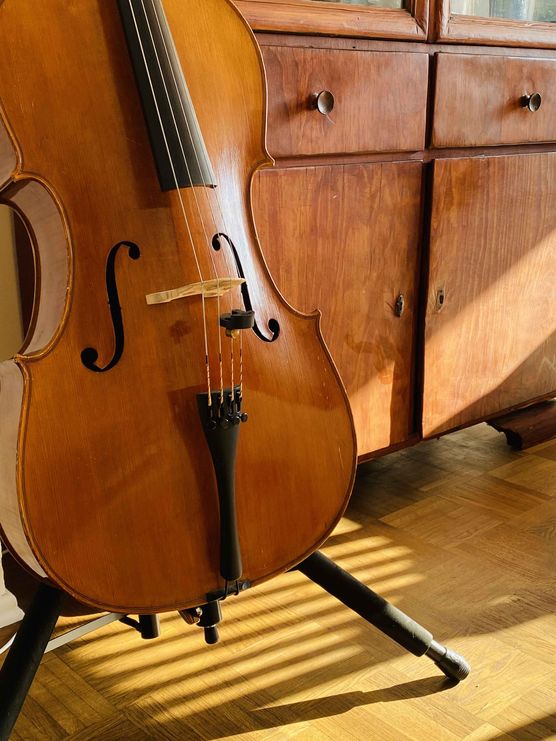 Bild von Kristin Susan Catalán Bild von Kristin Susan Catalán