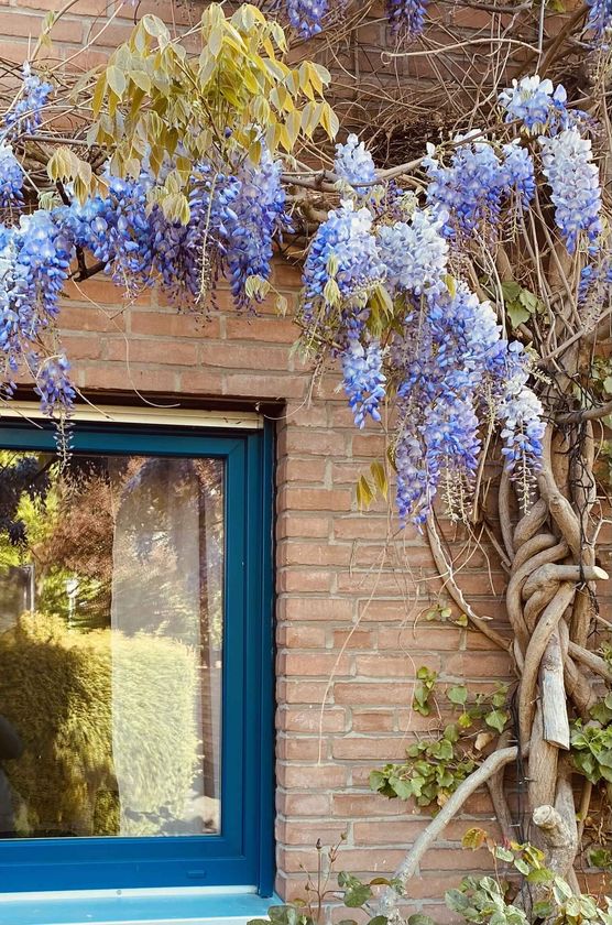 Bild von Kristin Susan Catalán Bild von Kristin Susan Catalán