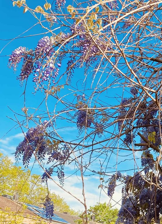 Bild von Kristin Susan Catalán Bild von Kristin Susan Catalán