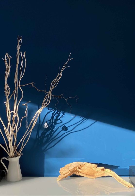 Bild von Kristin Susan Catalán Bild von Kristin Susan Catalán