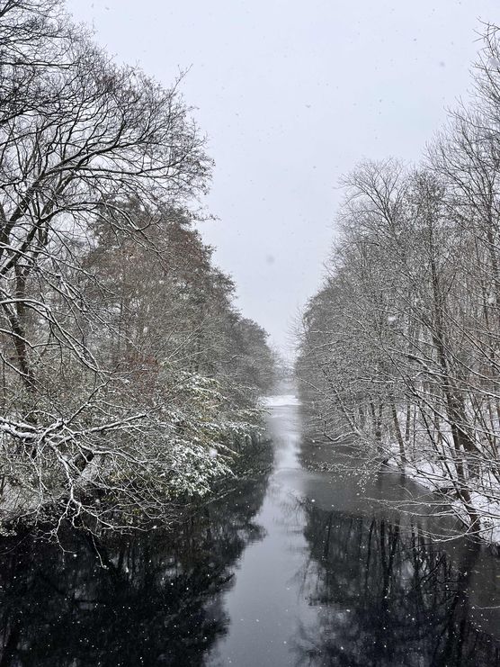 Bild von ninainsavannah Bild von ninainsavannah