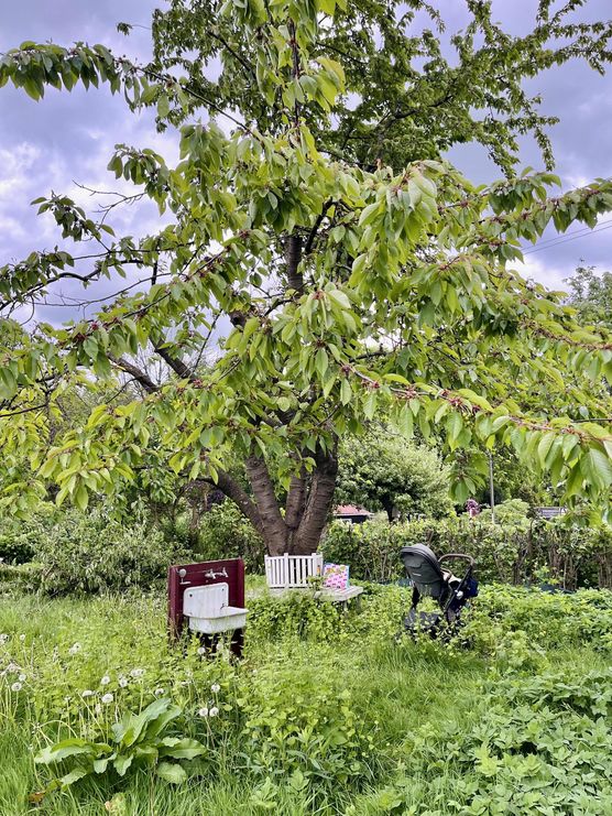 Bild von ninainsavannah Bild von ninainsavannah