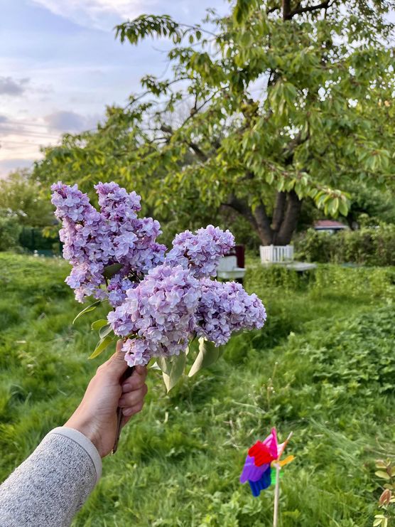 Bild von ninainsavannah Bild von ninainsavannah