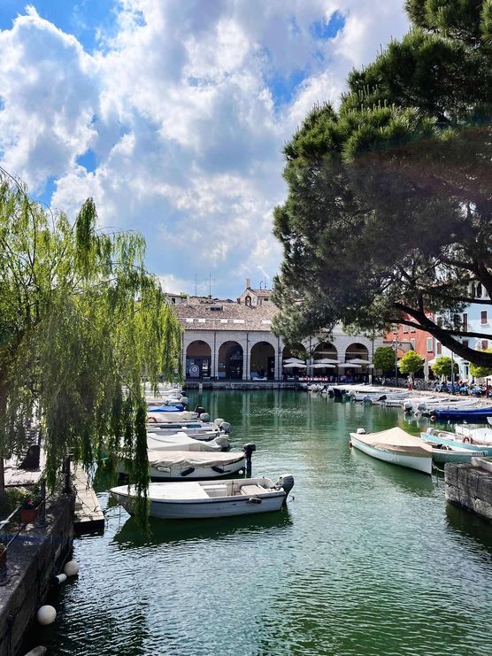 Bild von ninainsavannah Bild von ninainsavannah