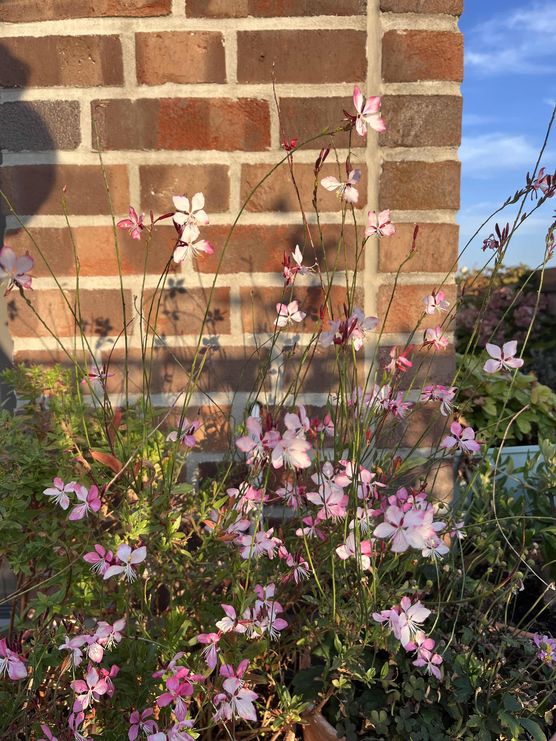 Bild von ninainsavannah Bild von ninainsavannah