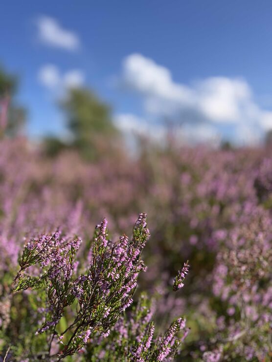 Bild von ninainsavannah Bild von ninainsavannah