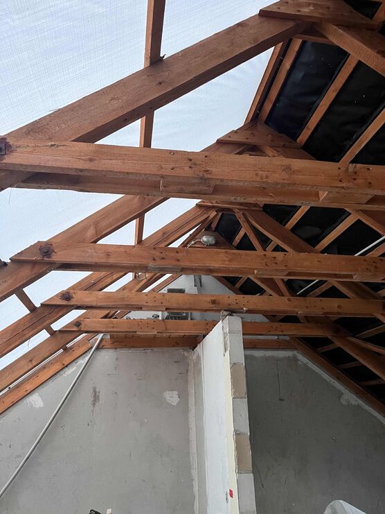 Bild von ninainsavannah Bild von ninainsavannah