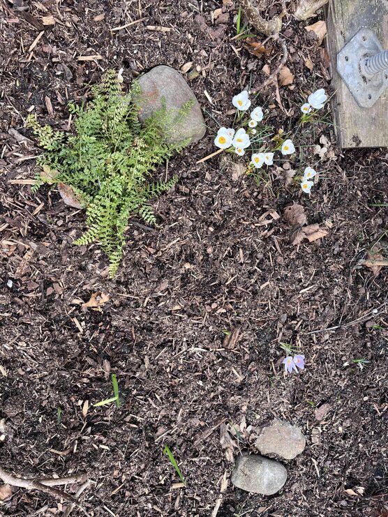 Bild von ninainsavannah Bild von ninainsavannah