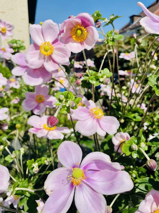 Bild von jennifer1704 Bild von jennifer1704