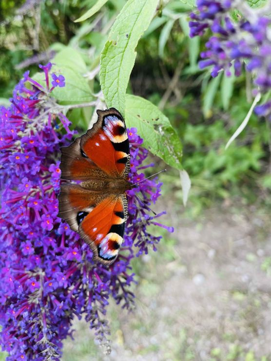 Bild von jennifer1704 Bild von jennifer1704