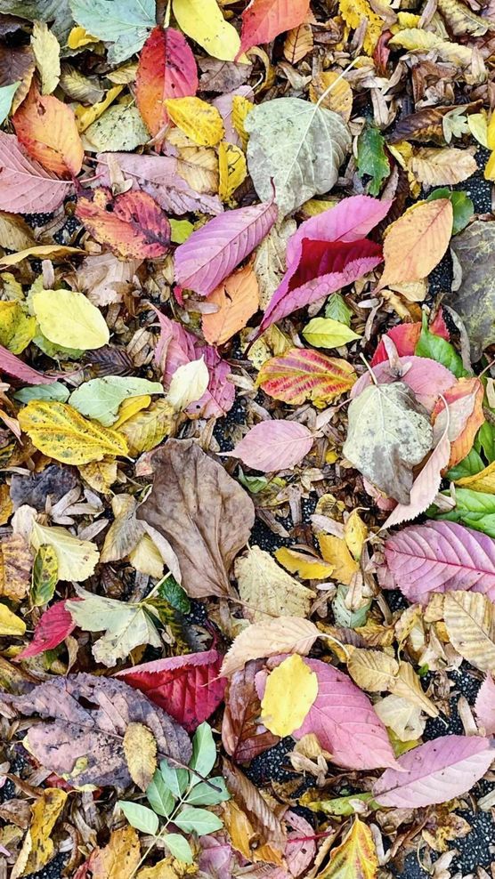 Bild von jennifer1704 Bild von jennifer1704