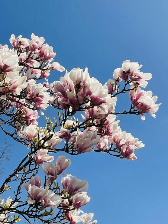 Bild von jennifer1704 Bild von jennifer1704