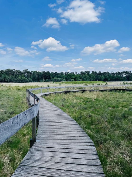 Bild von jennifer1704 Bild von jennifer1704