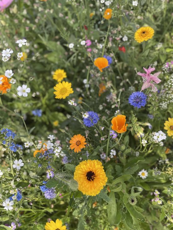 Bild von jennifer1704 Bild von jennifer1704