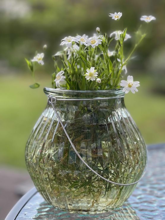 Bild von KikiSchulz Bild von KikiSchulz