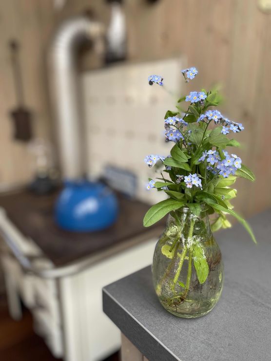 Bild von KikiSchulz Bild von KikiSchulz