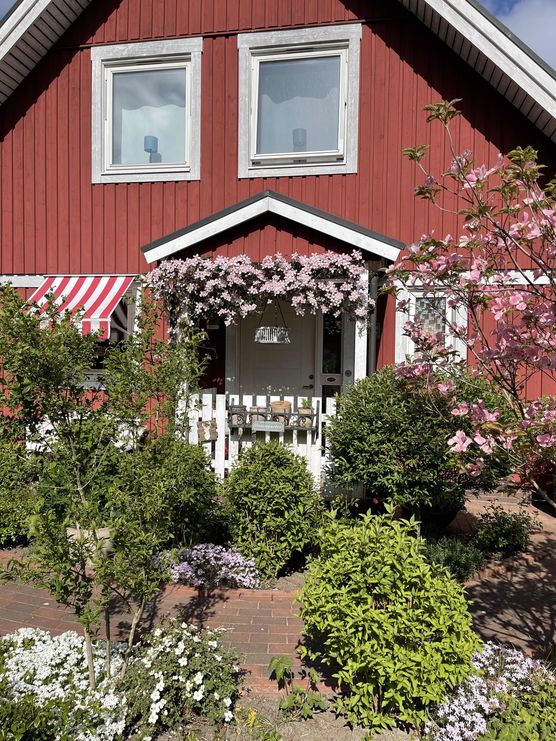 Bild von KikiSchulz Bild von KikiSchulz